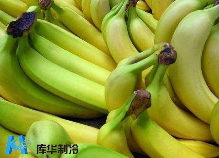 杭州地區(qū)安裝10噸香蕉保鮮冷庫工程推薦