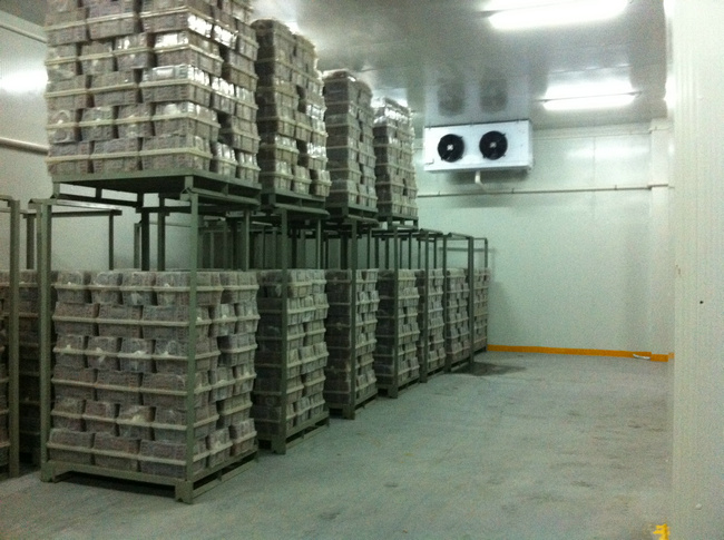 冷庫裝什么燈合適?冷庫燈和普通燈有有什么區(qū)別